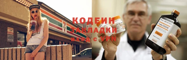 прущие крисы Няндома