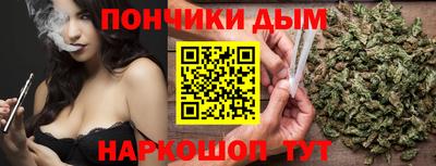 гашик Майкоп