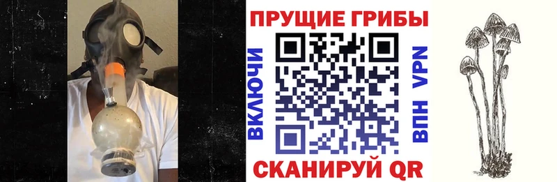 kraken ТОР Сыктывкар Галлюциногенные грибы MAGIC MUSHROOMS