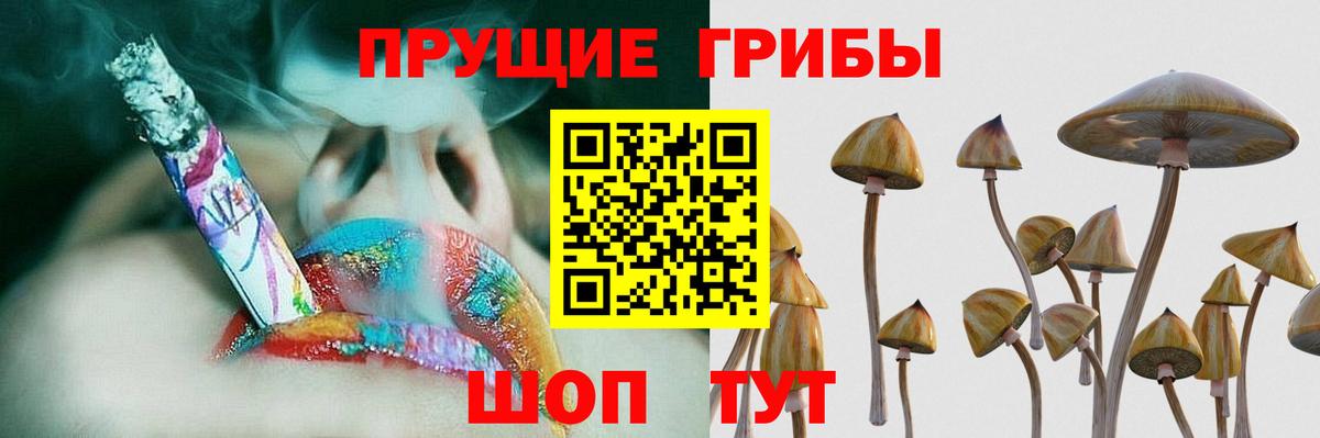 Галлюциногенные грибы ЛСД Сыктывкар